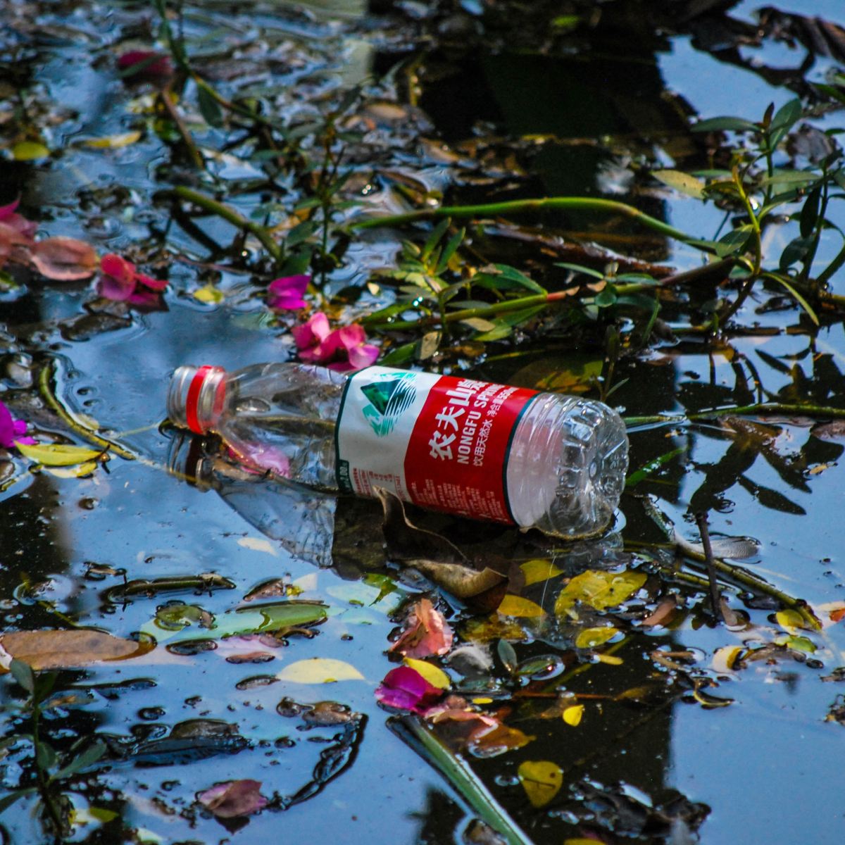 GAME OVER FOR THE PLASTIC BOTTLE